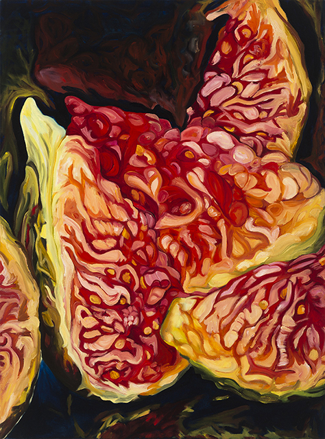 Fig, oil on canvas painting by Logan Bruce