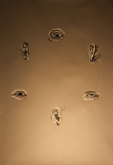3 ears 3 eyes, black and white charcoal on grey paper by Logan Bruce